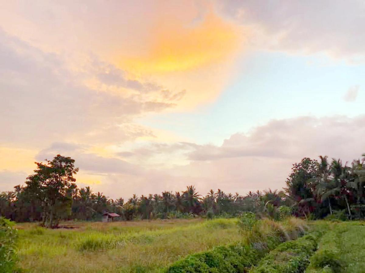 Shivananda Antique Villas By Eps أوبود المظهر الخارجي الصورة